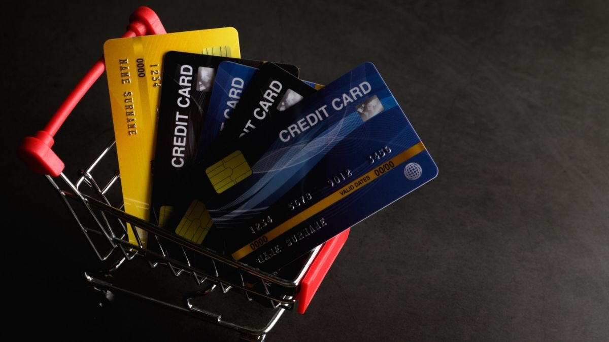 What is the CV Group Vilnius Charge on Credit Card? 2 100 Deerfield Lane Charge on Debit Card
